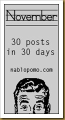 November NaBloPoMo