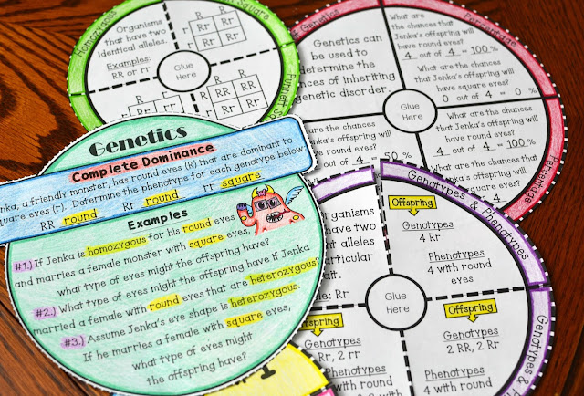 Genetics Foldable