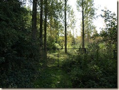 P9102910