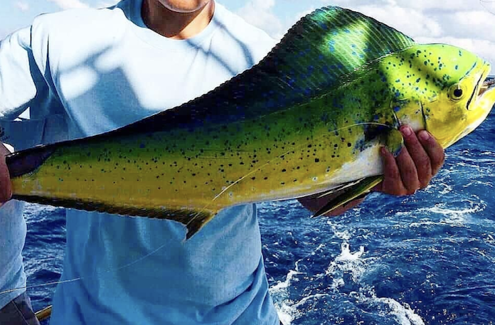 Fishing Mahi Mahi in Malta