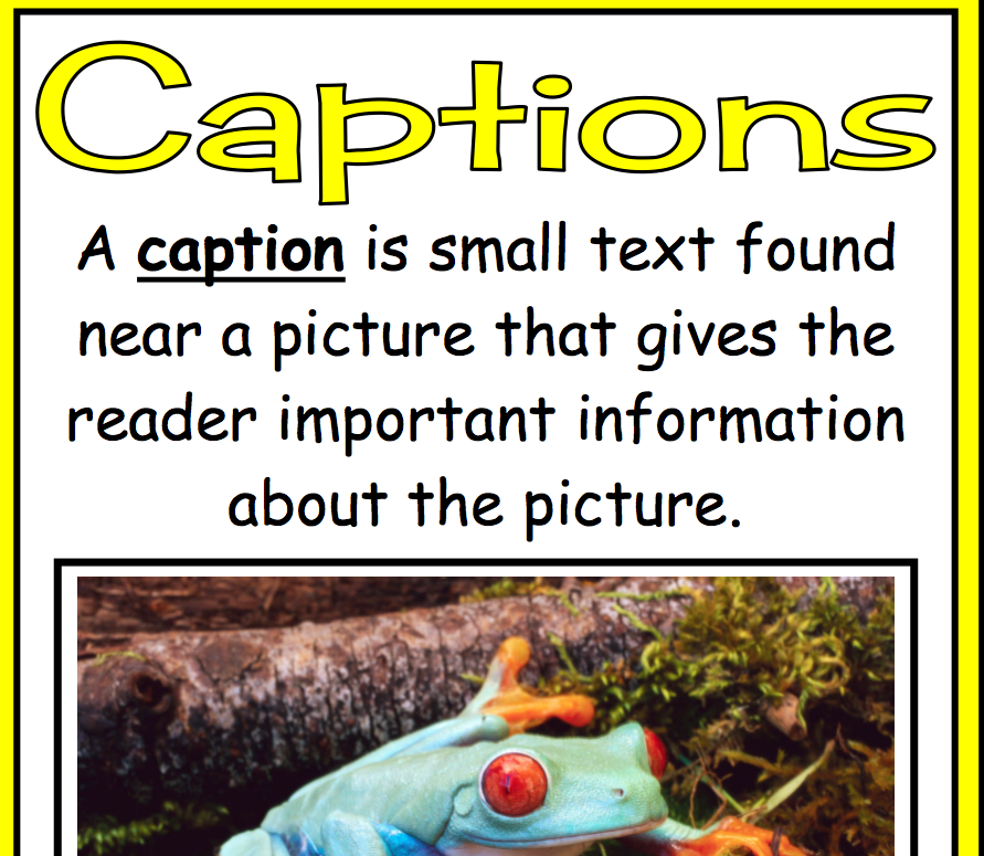 Non Fiction Text. non-fiction text features