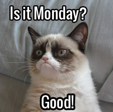 Grumpy Cat Good Morning