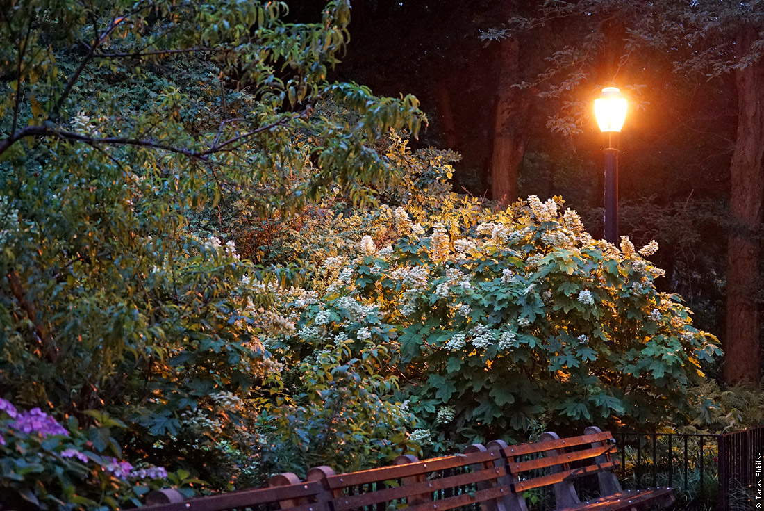 Shore Road park, Bay Ridge, Brooklyn