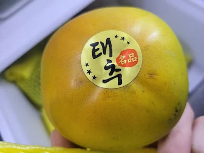 태추단감
