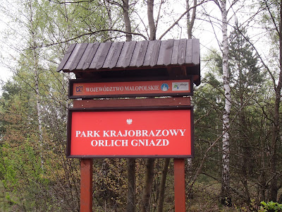 Park Krajobrazowy Orlich Gniazd, wiosenny las, grzyby wiosenne, grzyby w maju, śluzowce, samotek zmienny Reticularia lycoperdon, maślanka wiązkowa (łysiczka trująca) – Hypholoma fasciculare, piestrzenica kasztanowata Gyromitra esculenta