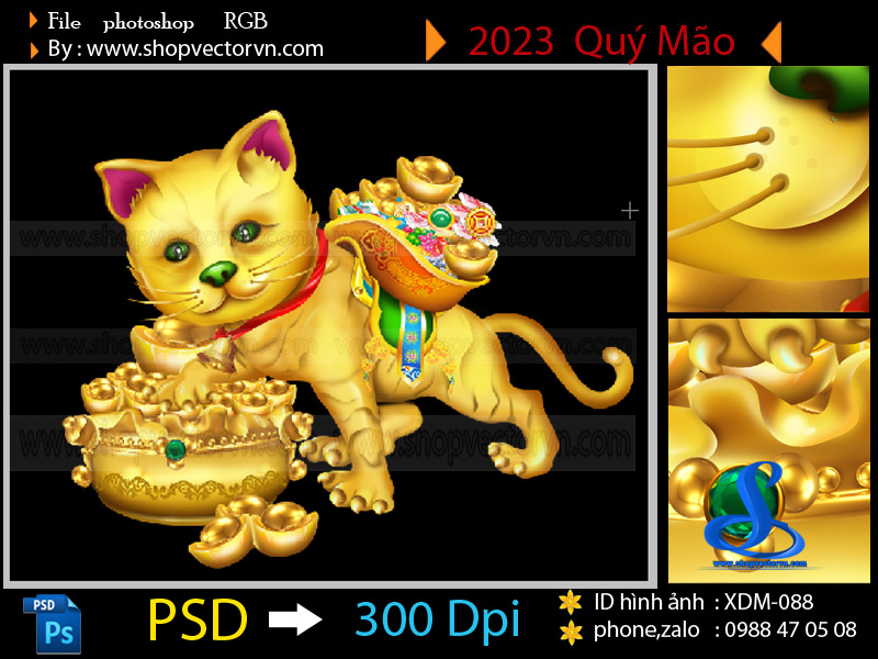 Mèo vàng Việt Nam Giống mèo nhà giá rẻ và dễ nuôi  Mypet App  Ứng dụng  cho thú cưng