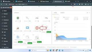 menu dns manager aapanel