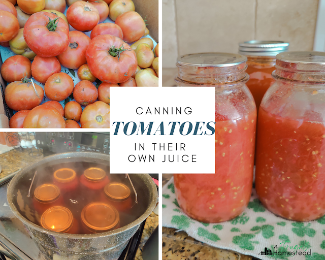 Learn how to water bath can tomatoes for long term storage.