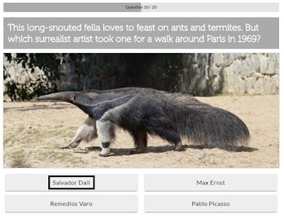 Fun Animal Quiz