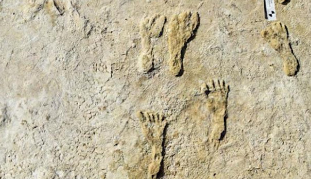 Окаменелые человеческие следы в национальном парке Уайт-Сэндс в Нью-Мексико