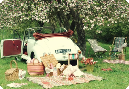 Un plan de picnic para San Valentín