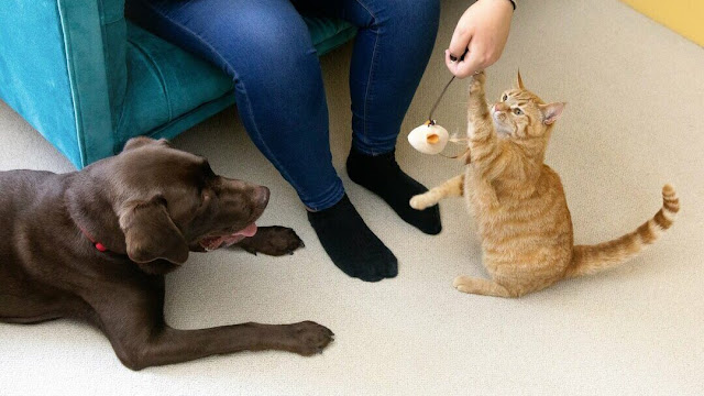 If they both learn to share utensils, that's great