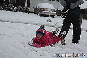 haley sled