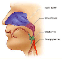 http://www.jasapengetikancibinong.blogspot.com