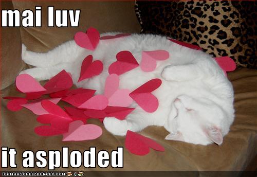 Love You Lolcat. LOLcats - theme: LOVE