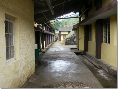 P1010324