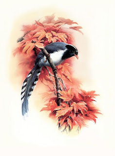 Here are some amazing artwork pictures of the Birds