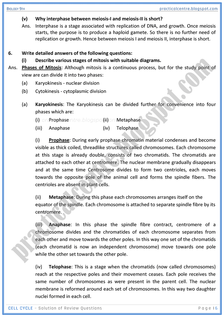 cell-cycle-review-question-answers-biology-9th-notes