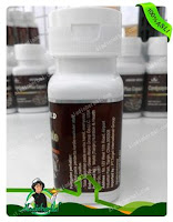 Cordyceps Plus Capsule Green World