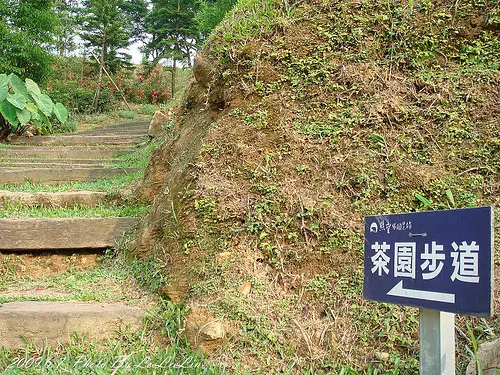 三峽親子遊｜熊空休閒農場｜熊空茶園步道