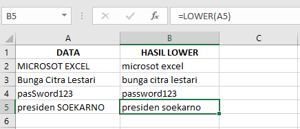 Cara Memasukkan Fungsi LOWER pada Microsoft Excel