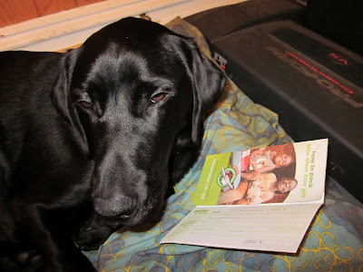 Dagan looking at the Operation Christmas Child flier