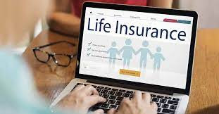 best term life insurance sproutt