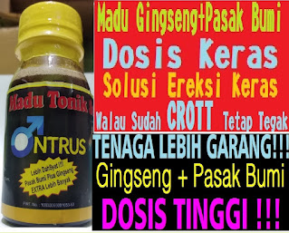 Madu Obat Kuat Pria Ereksi SuperTonik di Aceh Timur-Idi Rayeuk Jual Online Shop