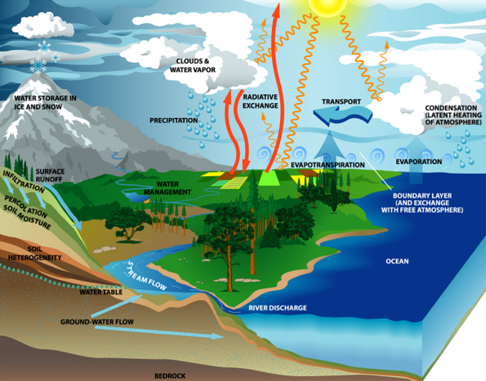 Ciencias Sociales Bilingüe: The water cycle
