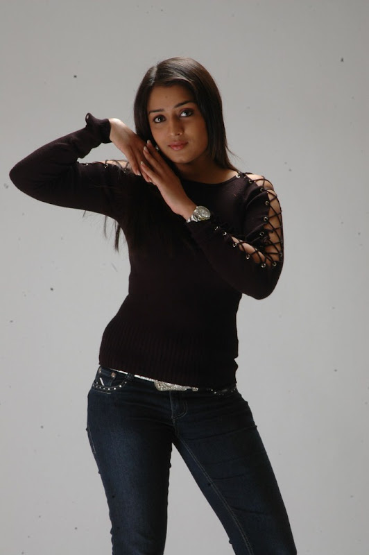 Actress Nikitha Thukral Photo Shoot Stills gallery pictures