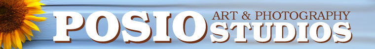 PosioStudios