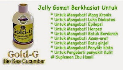 Manfaat dan Khasiat Lengkap Gold G Jelly Gamat