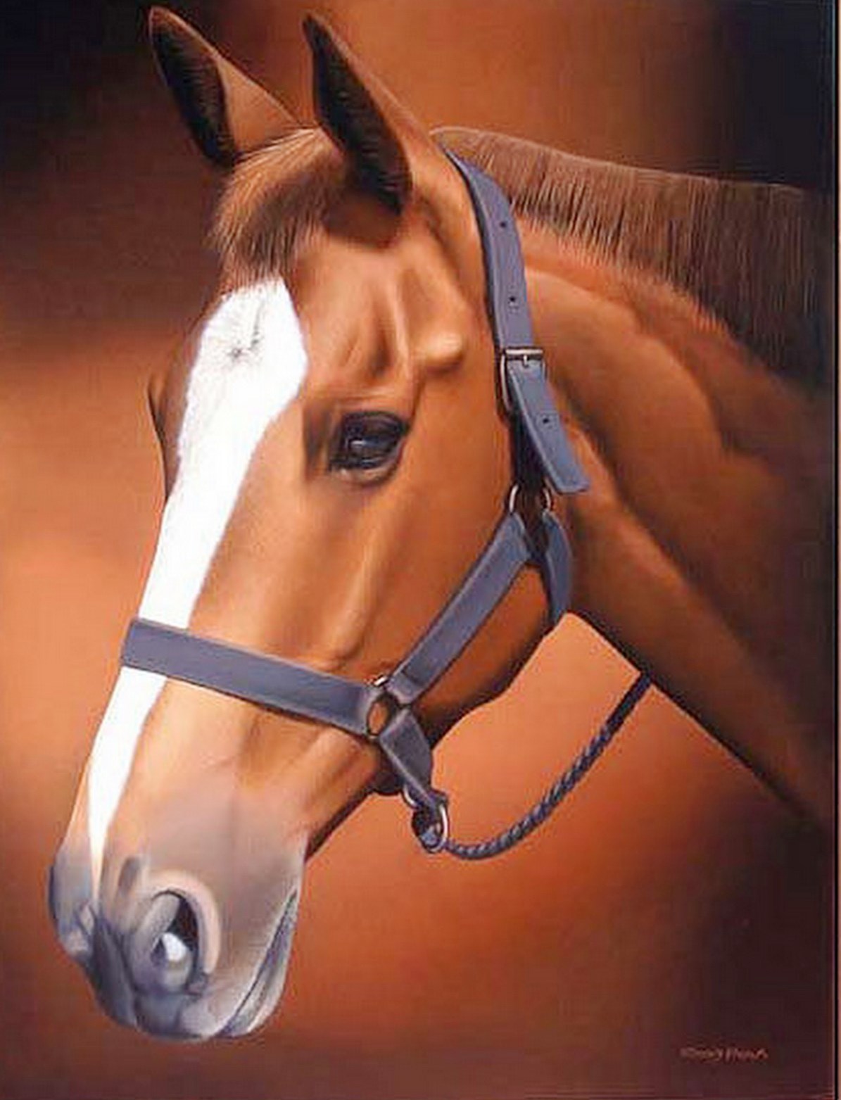 Хорошее отношение к лошадям рисунок. Рисунок к произведению хорошее отношение к лошадям.