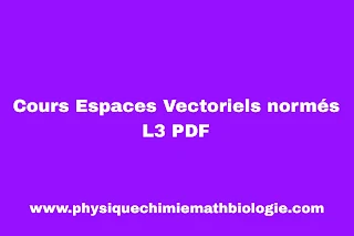 Cours Espaces Vectoriels normés L3 PDF