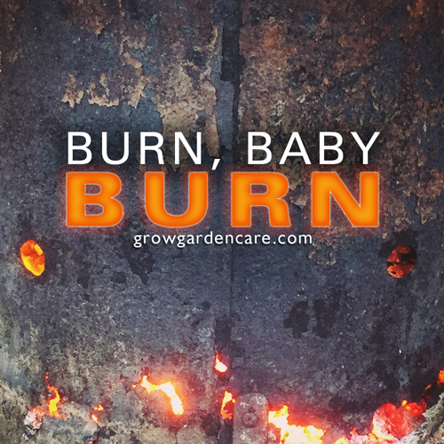 grow Burn baby burn 