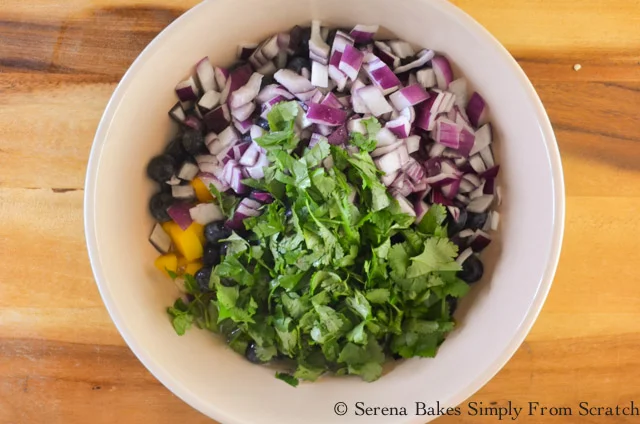 Blueberry-Mango-Salsa-Cilantro.jpg