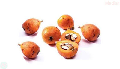 medlar fruit