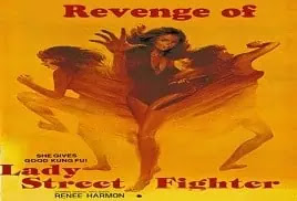 Revenge of Lady Street Fighter (1990) Full Movie Online Video