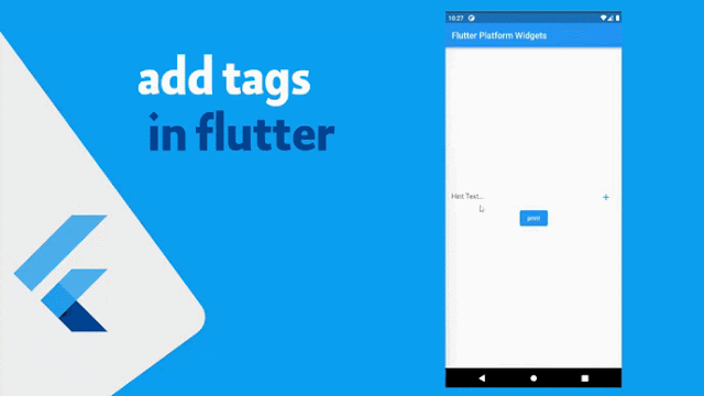 شرح كيفية عمل tag داخل Flutter بشكل جميل