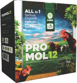 Jual Promol 12 HPA