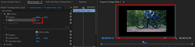 Scale Adobe Premiere pro