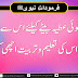 Islamic Quotes | Farman e Rasool S.A.W.W. Vol 3
