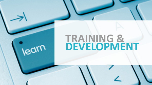 Process or Procedure of Training