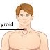   symptoms of Thyroid disease