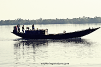 Sundarban National Park