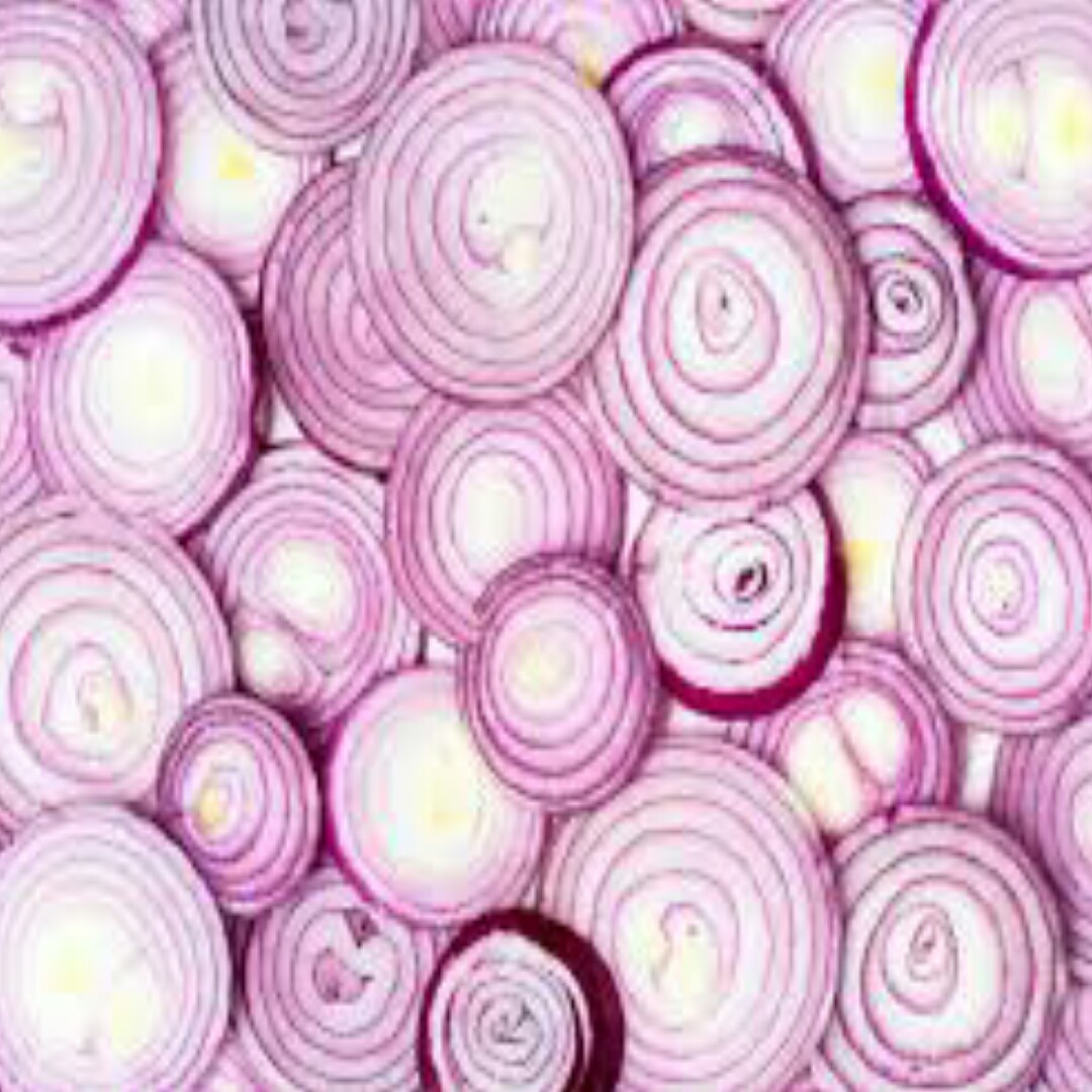 Determination on the impact of nitrogen application on the growth of onion (allium cepa) in Aliero metropolis Determination on the impact of nitrogen application on the growth of onion (allium cepa) in Aliero metropolis
