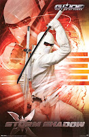 Storm Shadow Poster