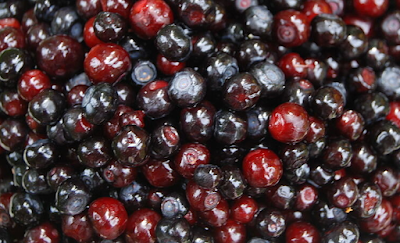 Huckleberries Nutritional Profiles and Unique Benefits