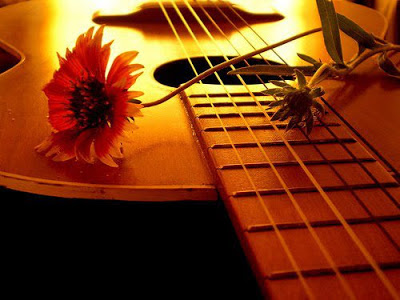 Foto de guitarra y flor