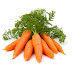 Những điểm cần lưu ý khi chọn mua và bảo quản cà rốt